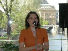 090420ckrestimage.jpg