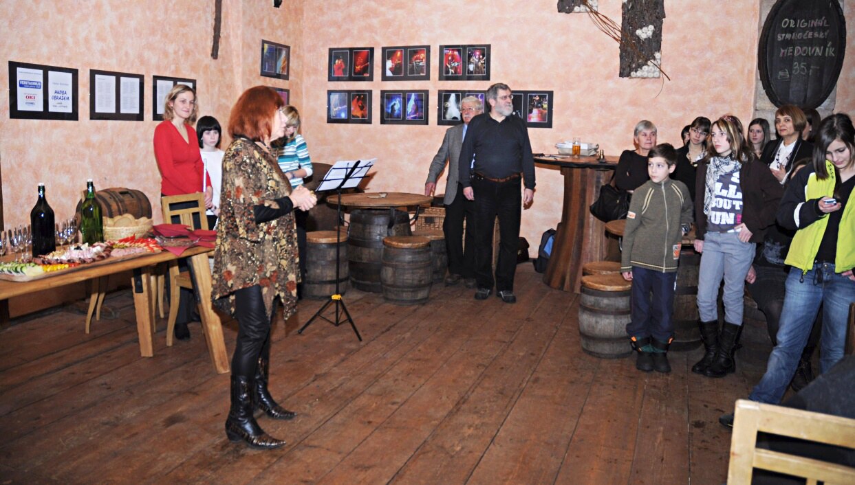 100211_vysekalova